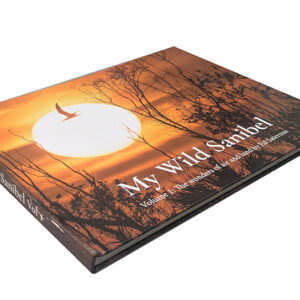 My Wild Sanibel - front cover